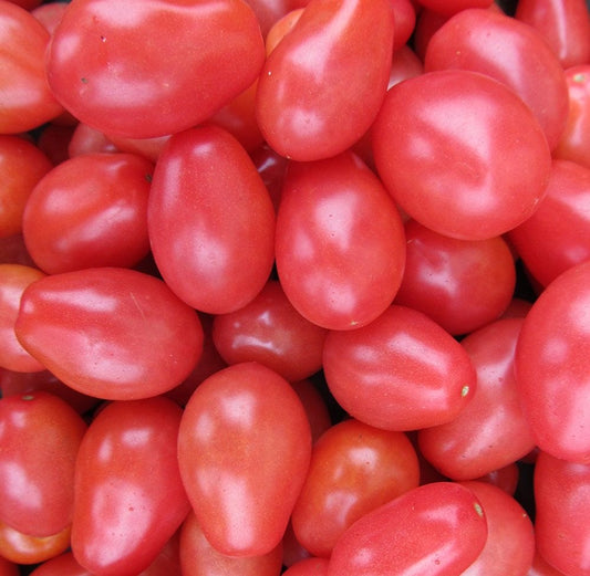Tomato Cold Country Pink Seeds