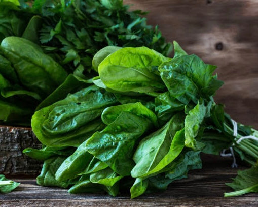 Spinach Seeds
