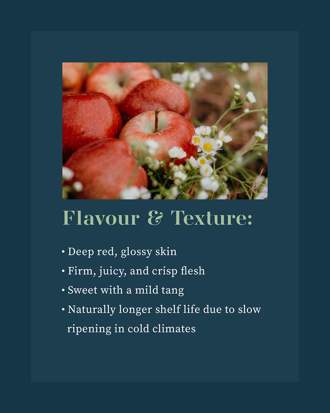 Kinnaur Royal Delicious Apples