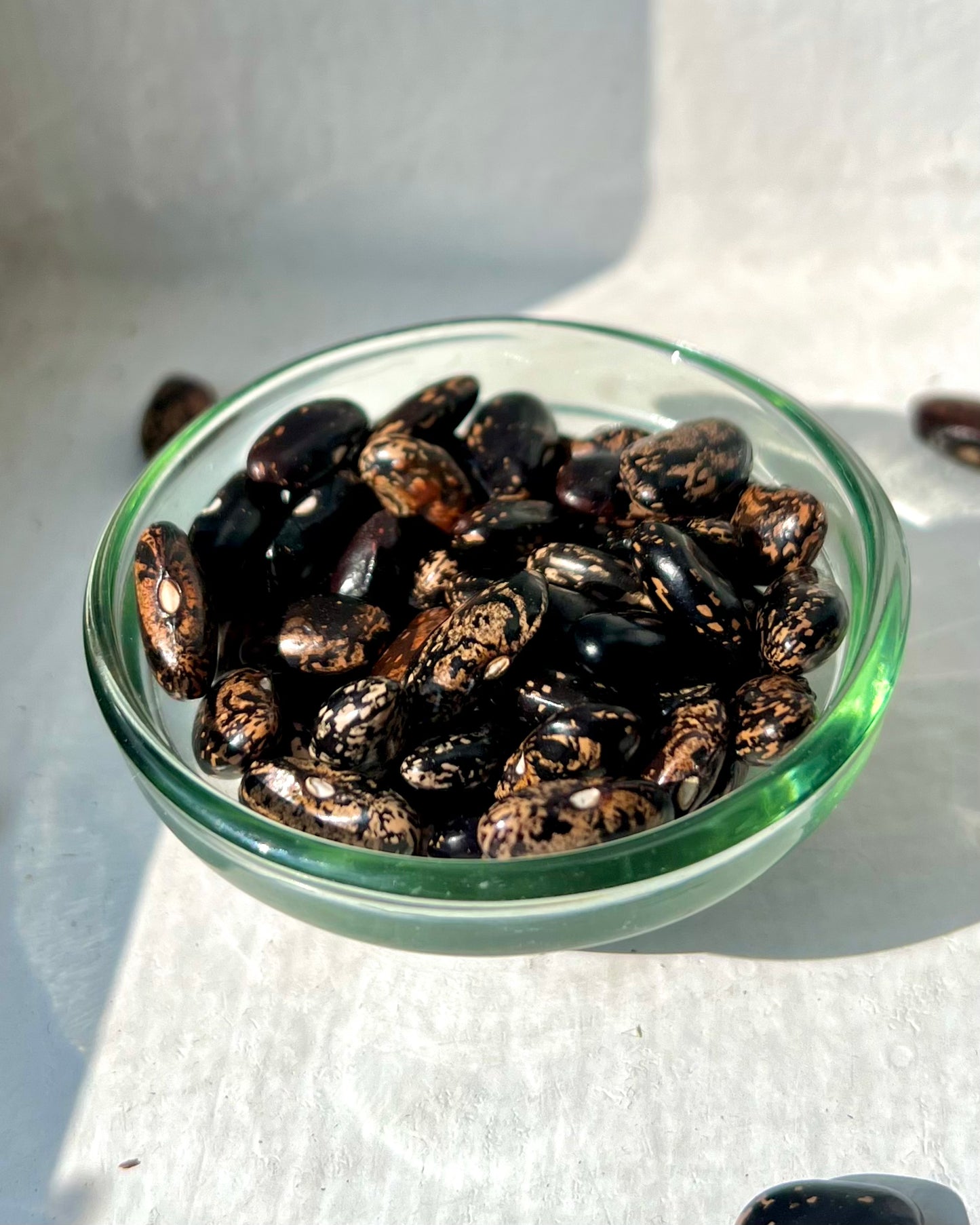 Pahadi Black Chitra Rajma Seeds