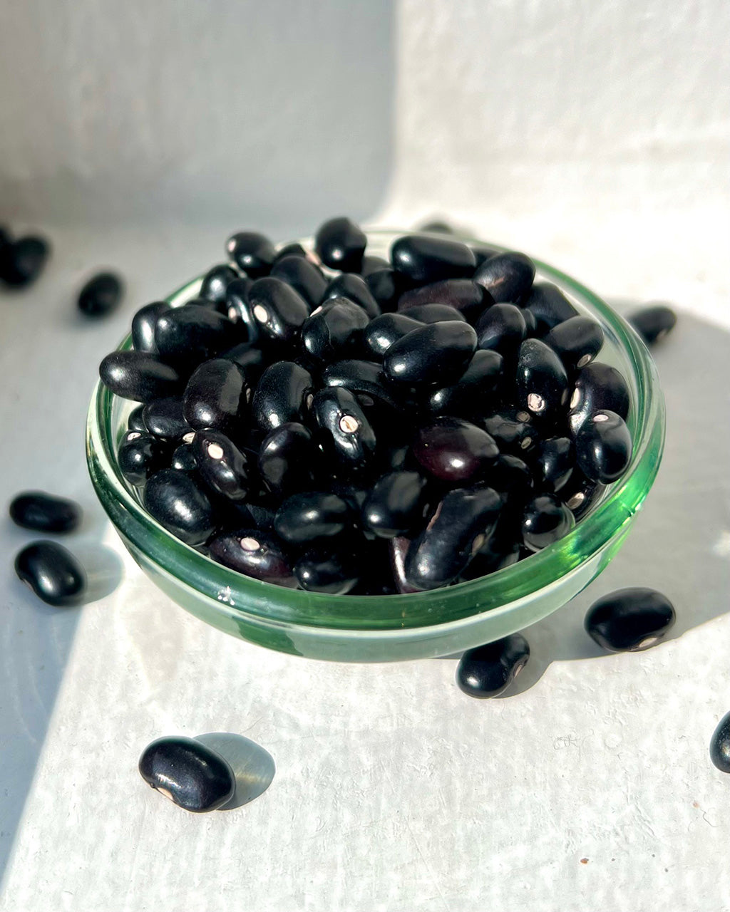 Black Pahadi Rajma Seeds
