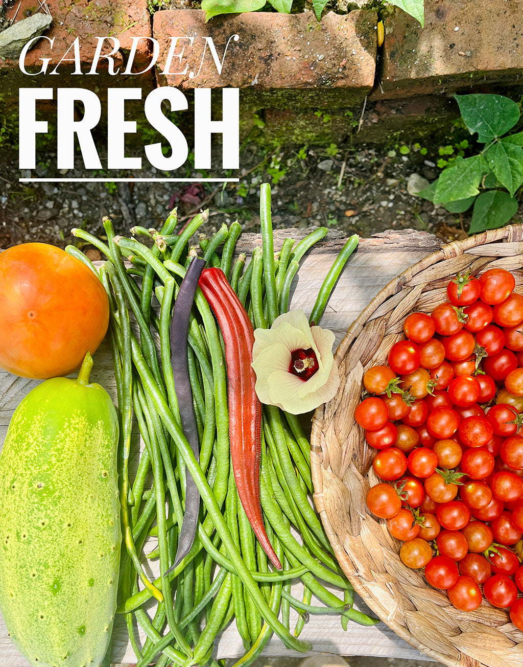 Yard Long Bean Seeds