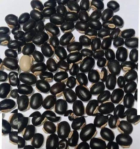 Beans Velvet Black Seeds