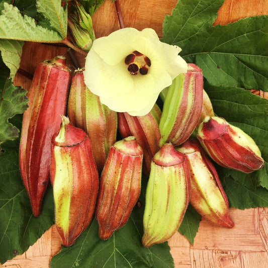 Okra BiColor Seeds