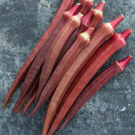 Okra Red Seeds