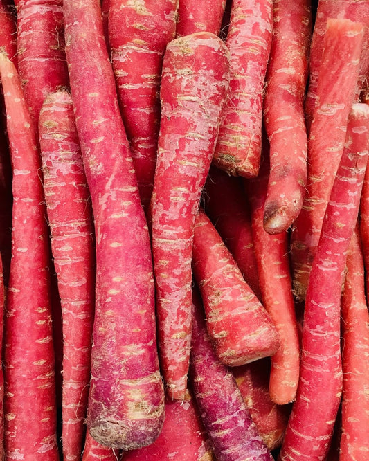 Carrot (Red) Seeds