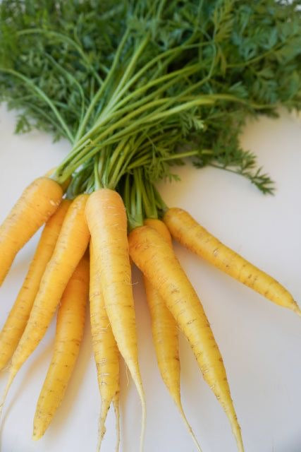 Carrot (Yellow) Seeds