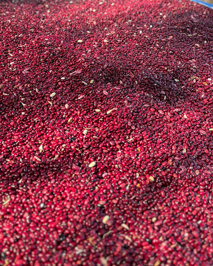 Pahadi Red Rajma