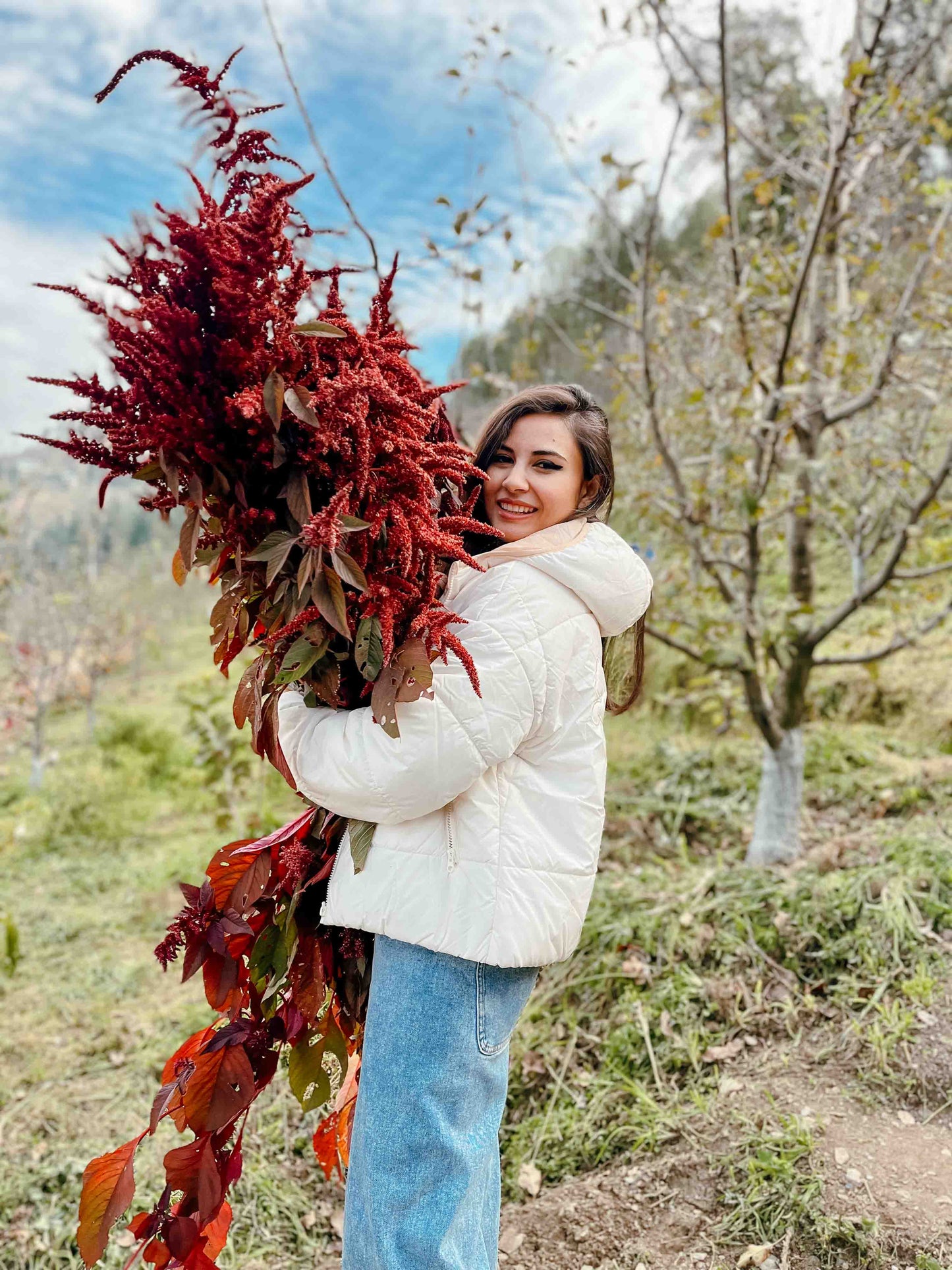 Amaranthus 