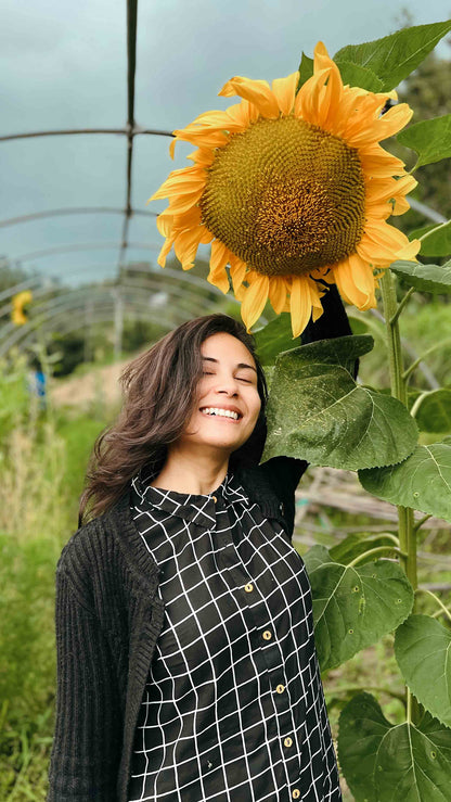 Giant Sunflower